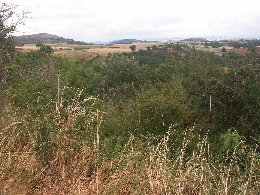 Au dessus des gorges de la Monne