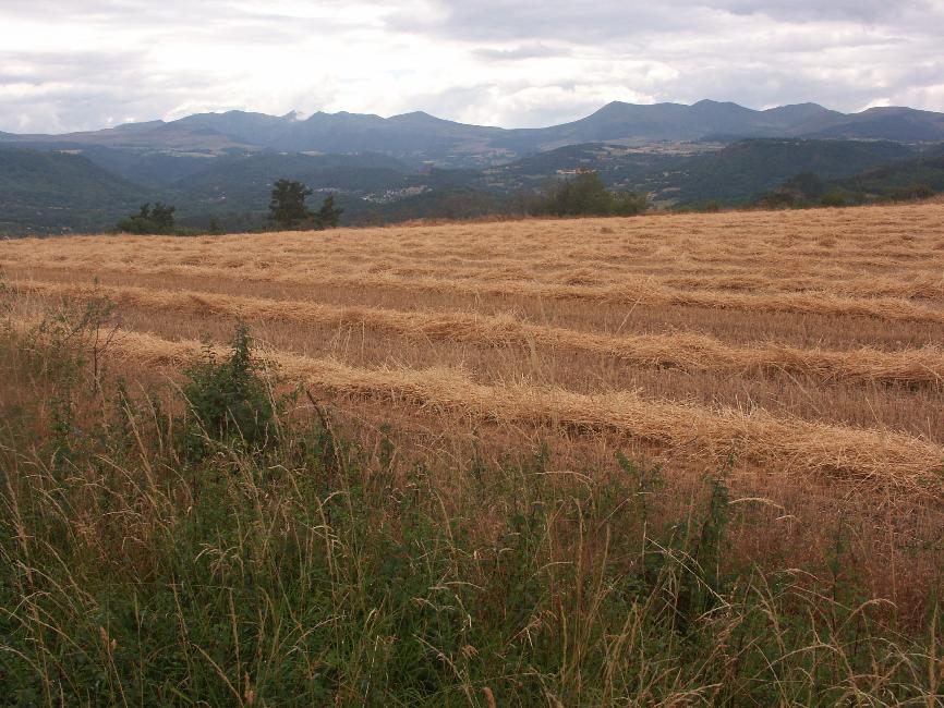 Vers Olloix ; vue vers Saint Nectaire