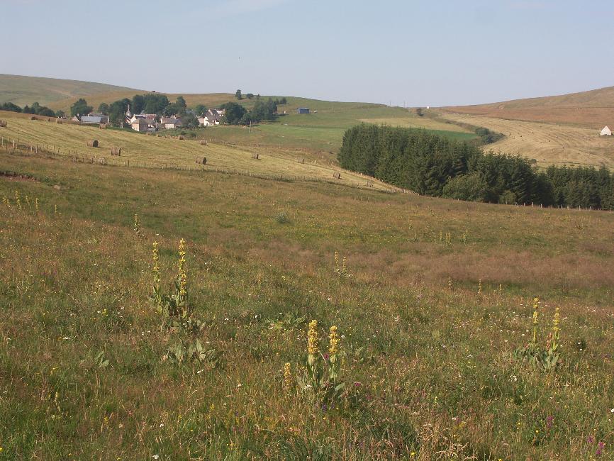 Au départ de la Godivelle