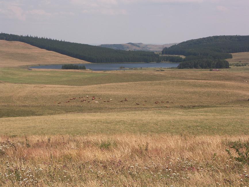 Vue vers le lac de Bourdouze