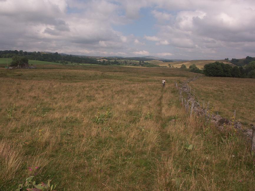 Prairie sur le plateau de l'Artense