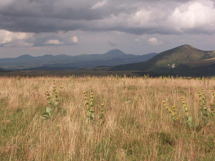 Le Puy de Dôme, depuis le Puy Gros