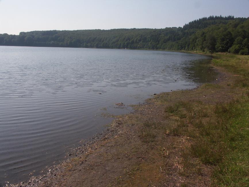 Rives du lac Chauvet