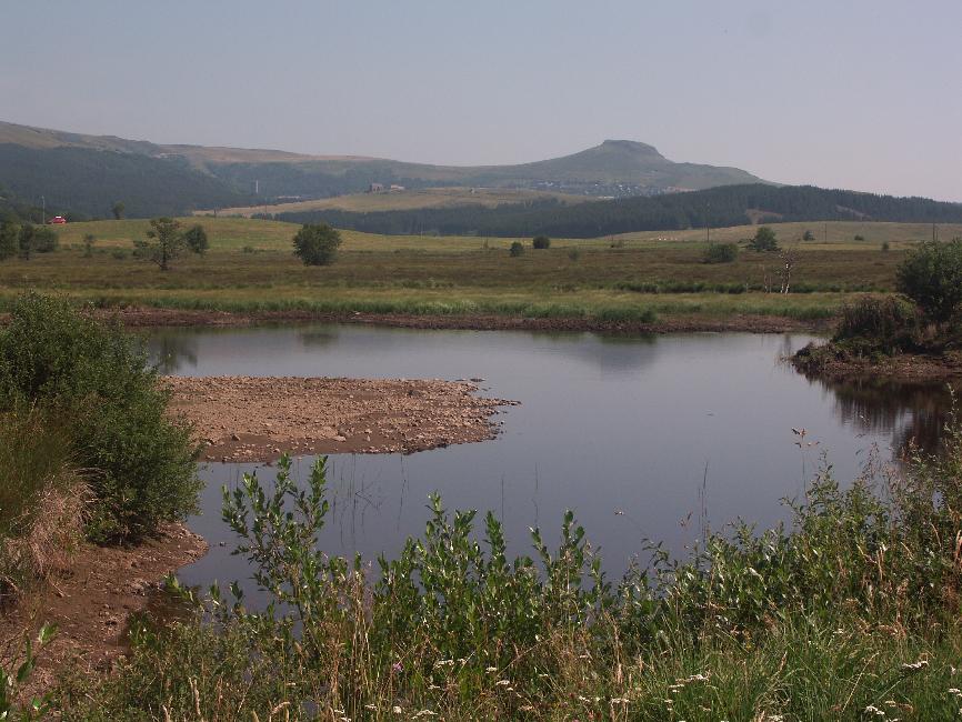 La tourbière de la Barthe