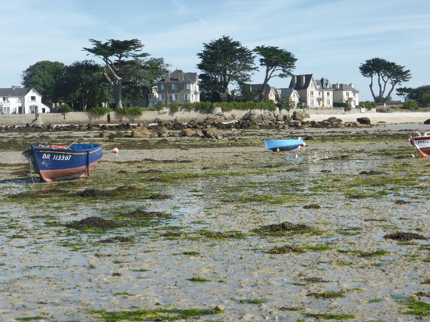 Port de Brignogan, à marée basse