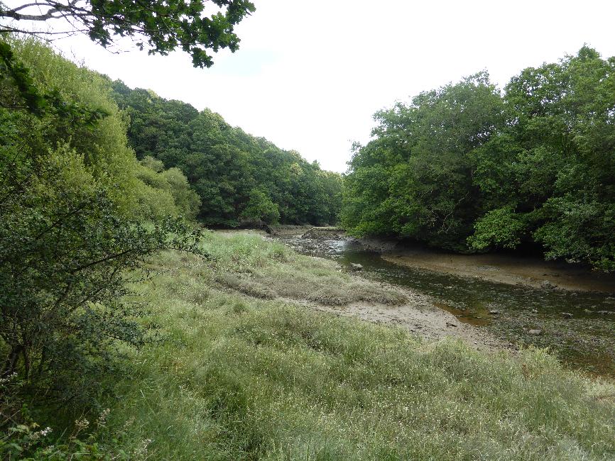 Vallée (boueuse) de la Pennélé