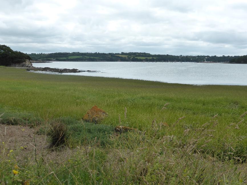 Rivière de Daoulas, à Landrévézen