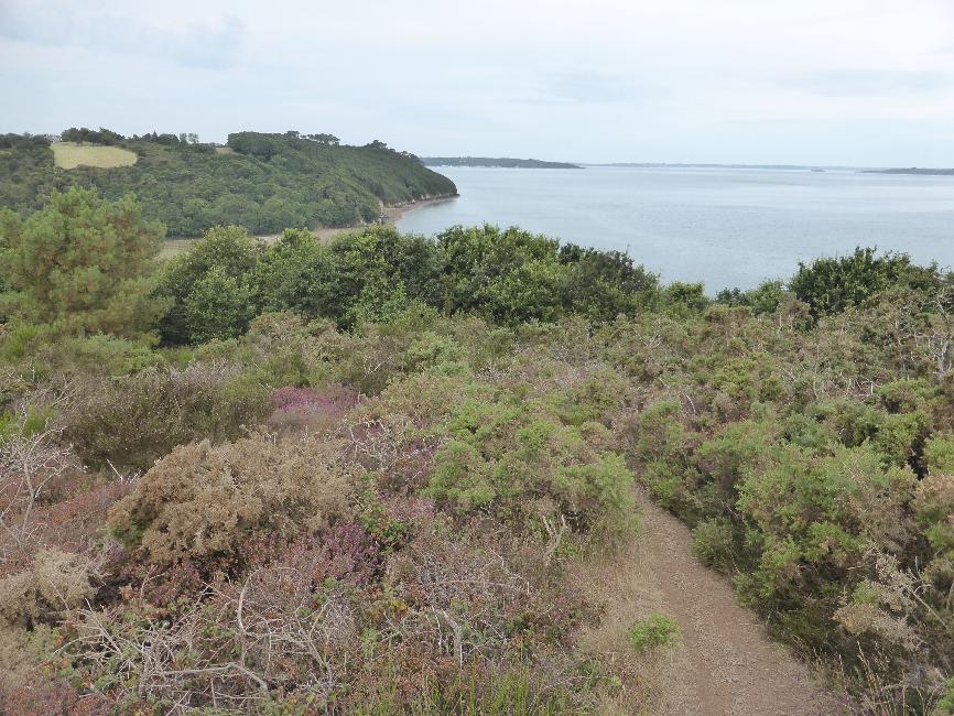 La balade commence par une montée raide dans la forêt de Landévennec