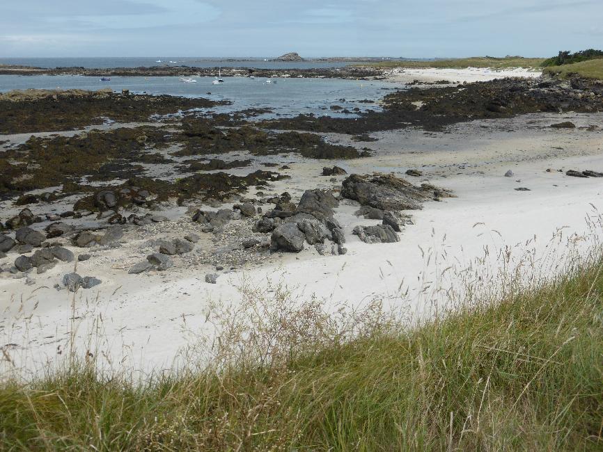 Le rivage à Porsguen