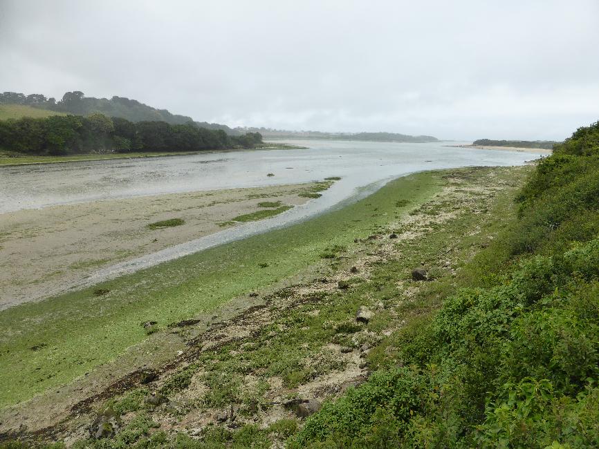 Embouchure du Guillec