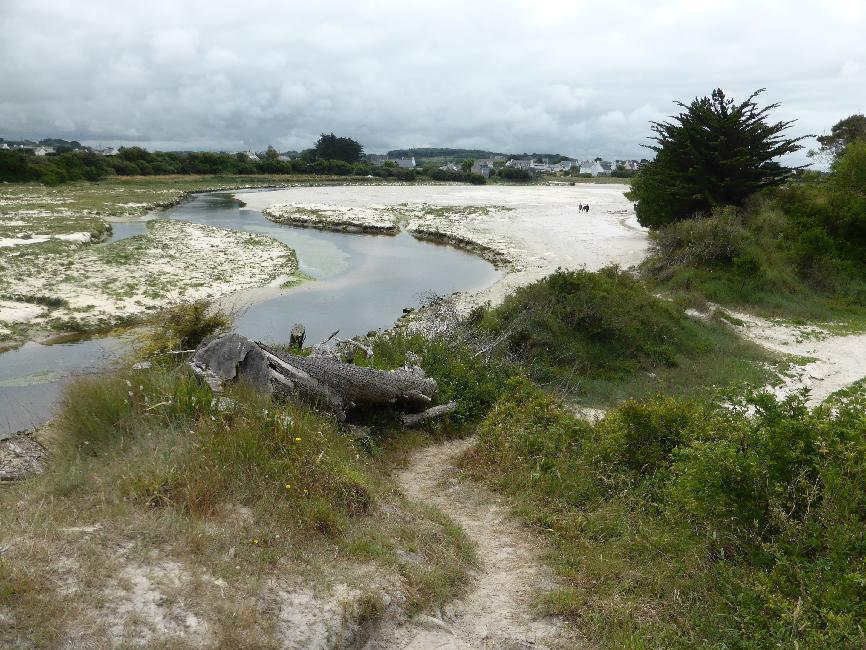 Embouchure de l'Horn