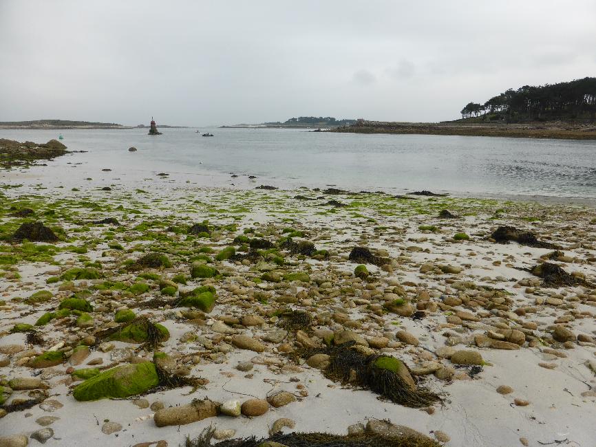 Embouchure de l'aber Benoît