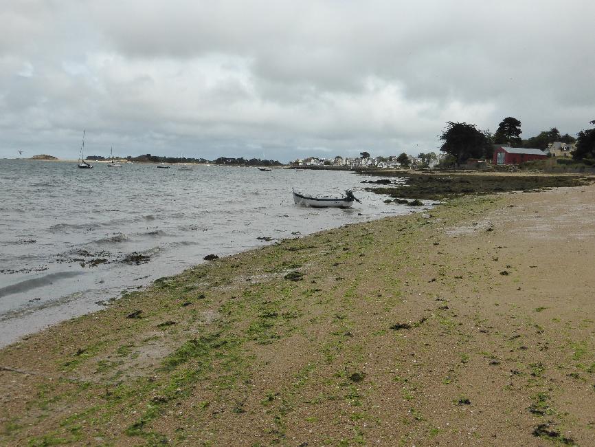 Rive gauche de l'estuaire de la Penzé