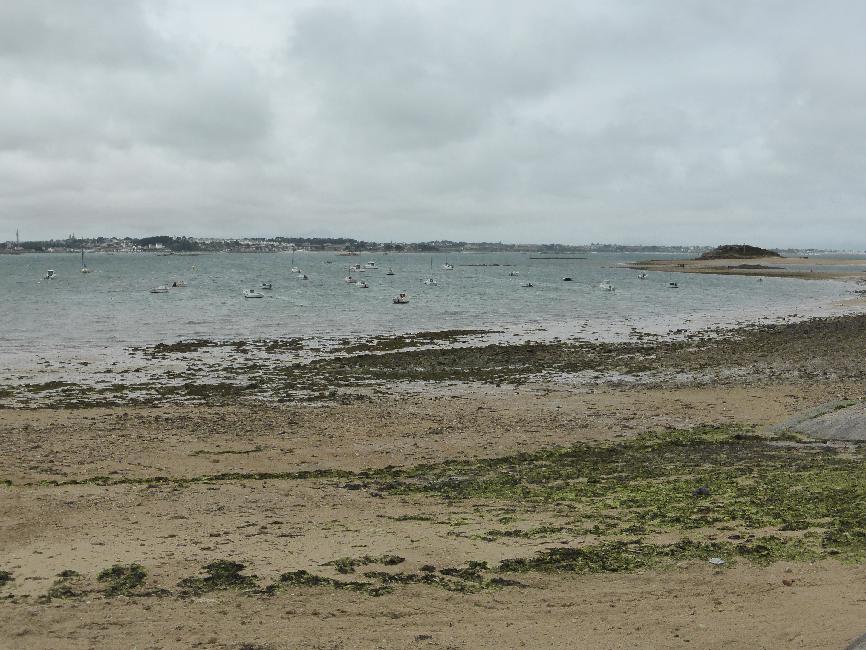 Carantec ; l'ile Callot