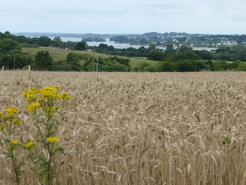 La rivière du Faou, et le Faou