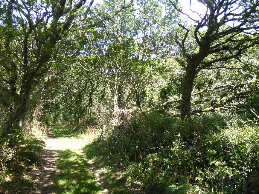 Bon pour l'ombre, mauvais pour les prises de vue...