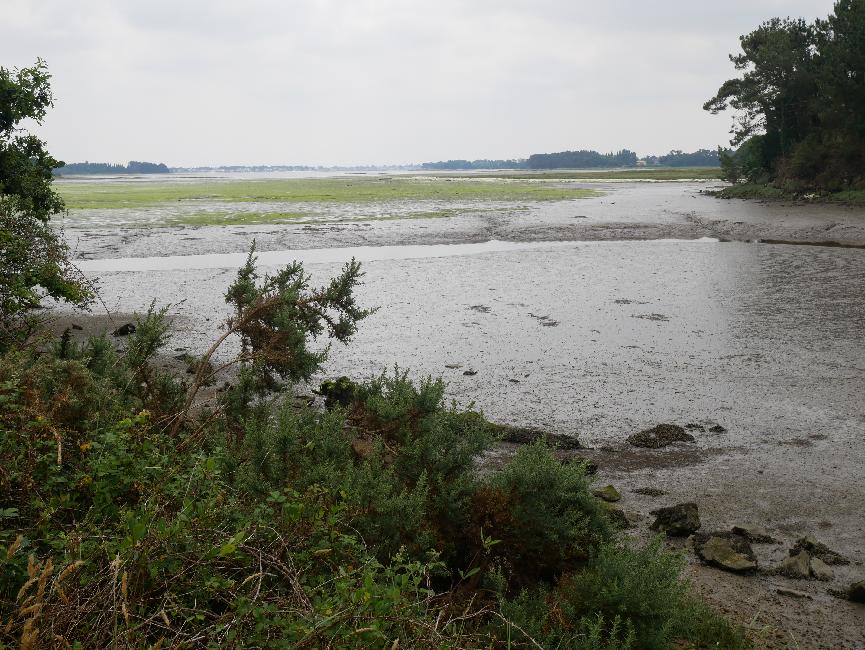 Vers Kergadec ; estuaire de la rivière de Pont Labbé