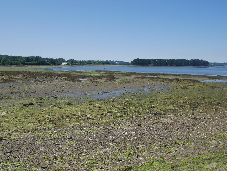 L'île aux renards, vue depuis Saint-Fiacre
