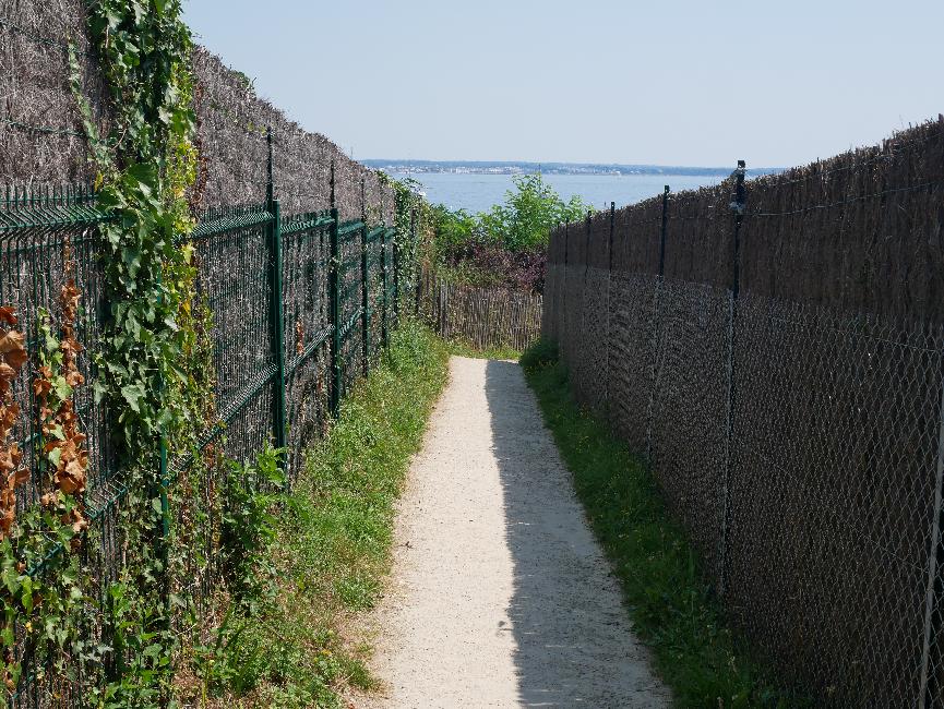 Là, même les grands n'y voient plus rien