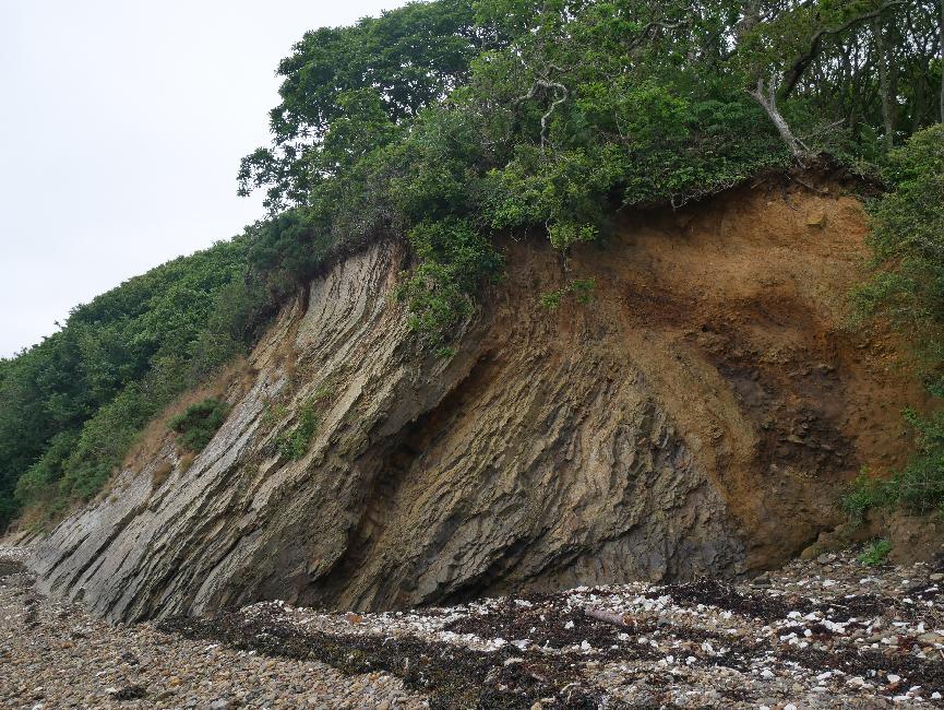 Schiste et grés, sur la falaise
