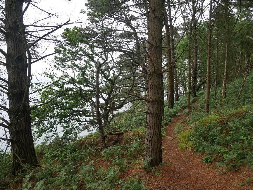 Marche en haut de la falaise, à couvert