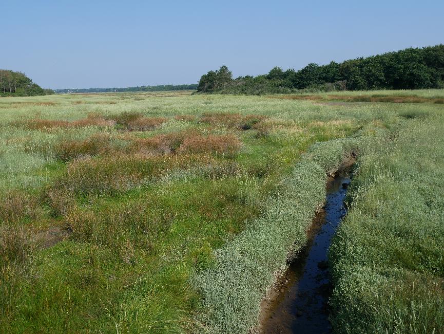 Polder de Mousterlin