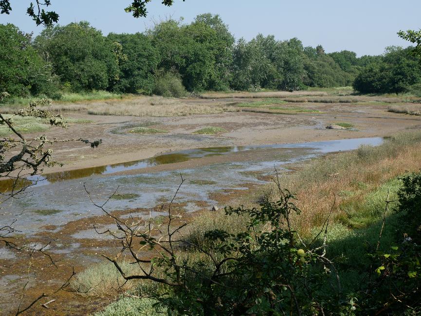 Polder de Mousterlin