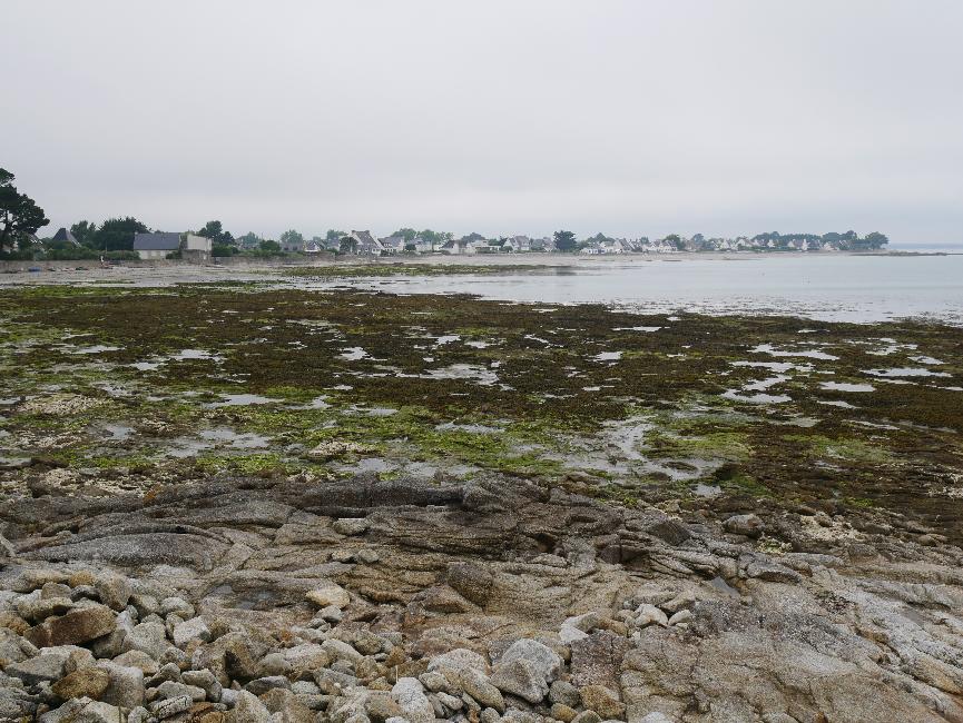 Le rivage à Loctudy