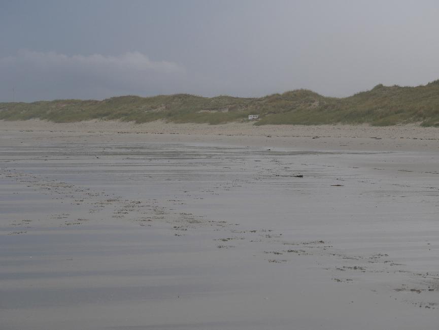 Plage de Porzh Karn ; le cordon dunaire