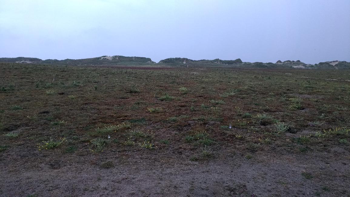 Derrière le cordon dunaire, vers Tronoën