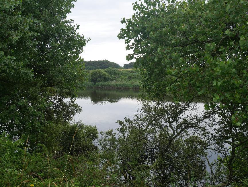 L'étang de Saint-Vio