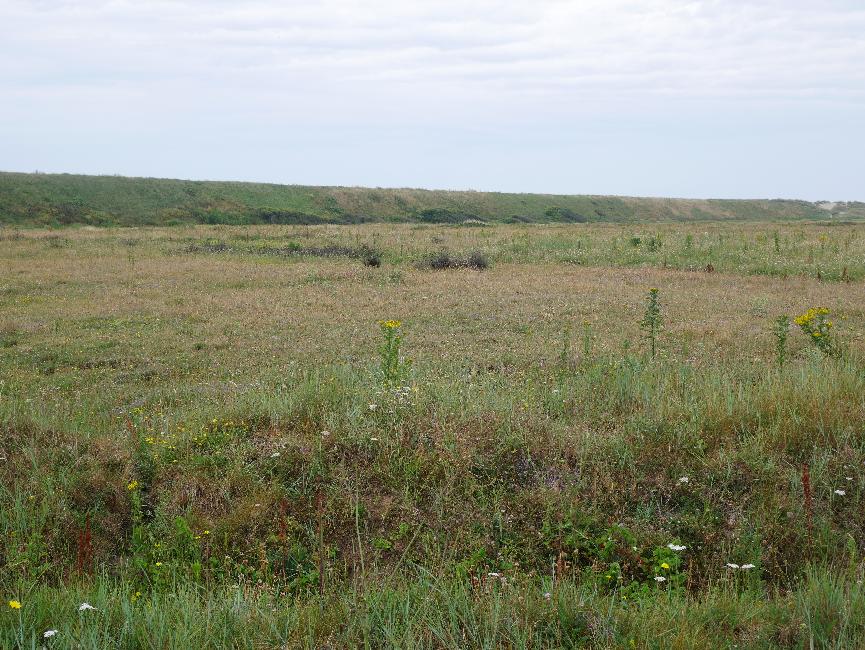 Derrière le cordon de galets, vers Saint-Vio