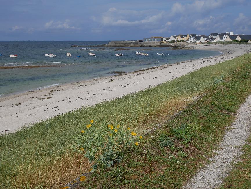 Arrivée au port de Guilvinec-Léchiagat