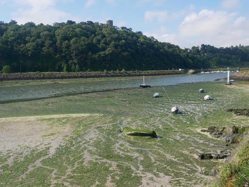 De Cesson à Binic