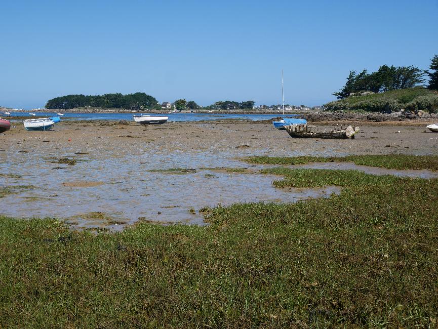 Aux environs de Larmor ; au fond, l'île Grande