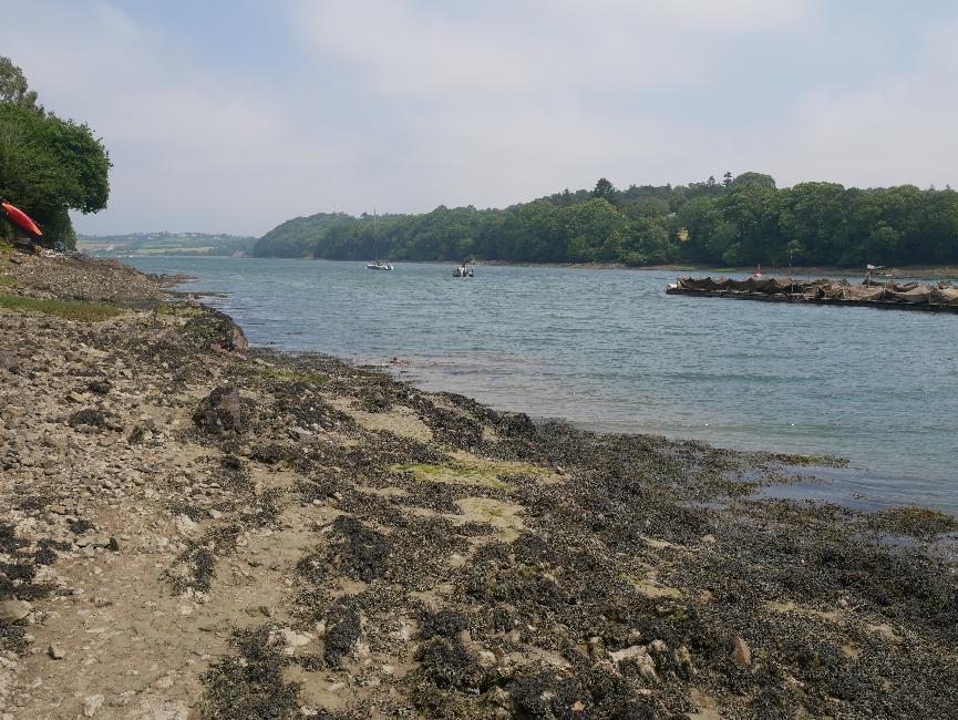 Entre Crec'h Suillet et la pointe Jaune