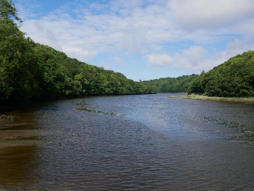 Loguivy les Lannion ; rive du Leguer (rivière de Lannion)