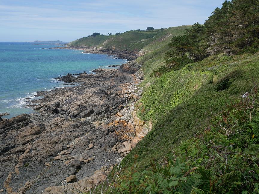 Falaises de Trédez