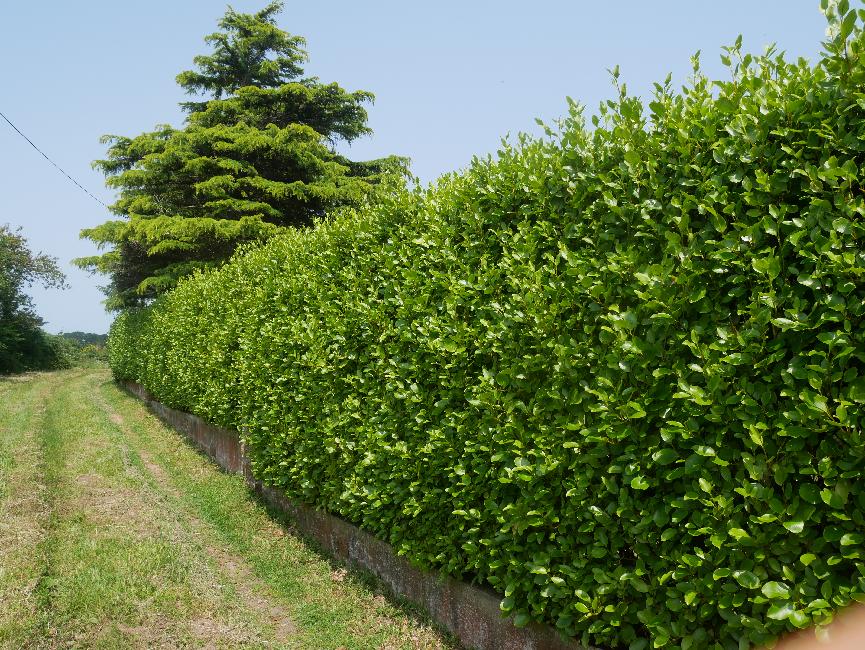 Déclinaison de la loi Littoral dans les estuaires