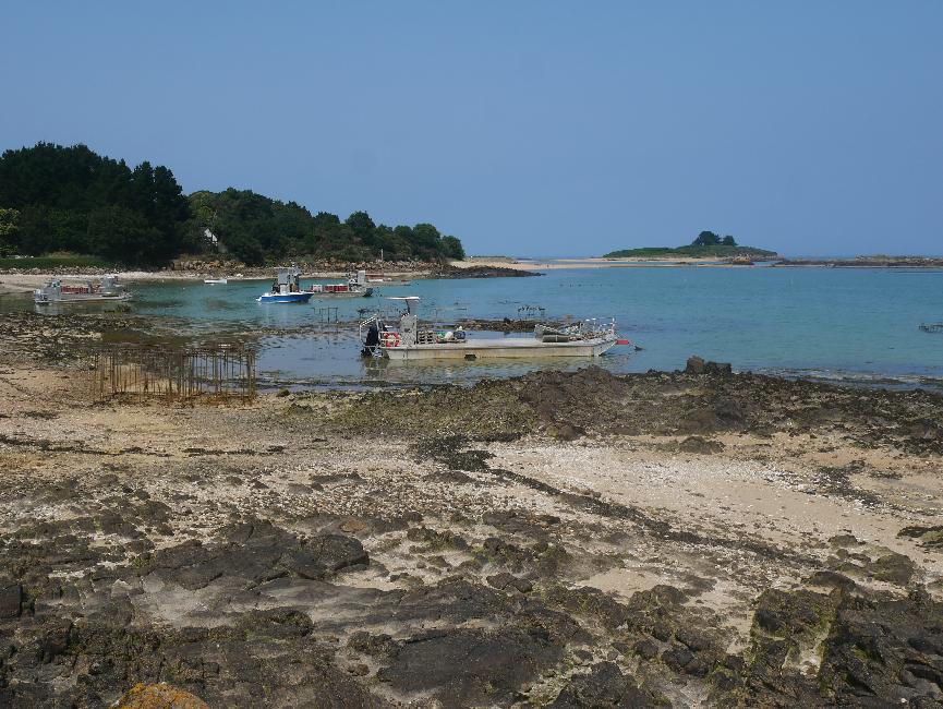 Port ostréicole à Ty ar Quéré ; vue vers l'île Coalen