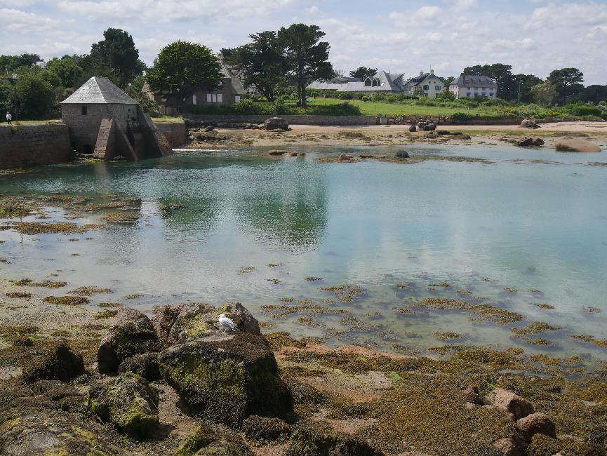 Port de Ploumanach ; moulin à marée