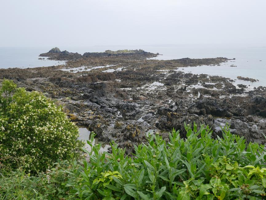 Locquirec ; pointe du château