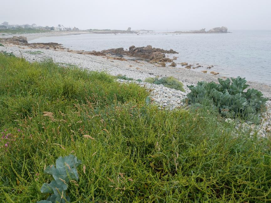 Devant le marais du Launay, vers le Royo