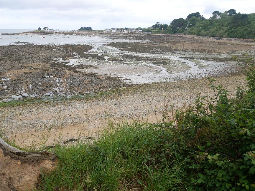 Anse de Térénez ; vue vers Térénez
