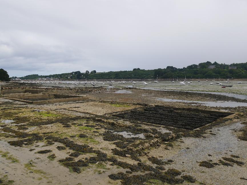 Terenez depuis Kernéléhen