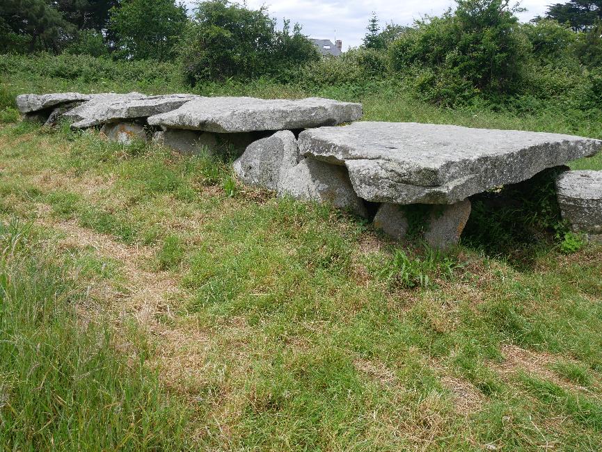 Allée couverte de Prajou-Menhir