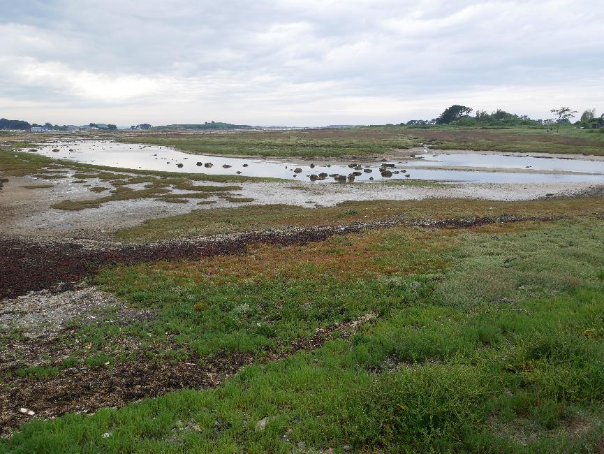 Entre Penvern et l'île Grande