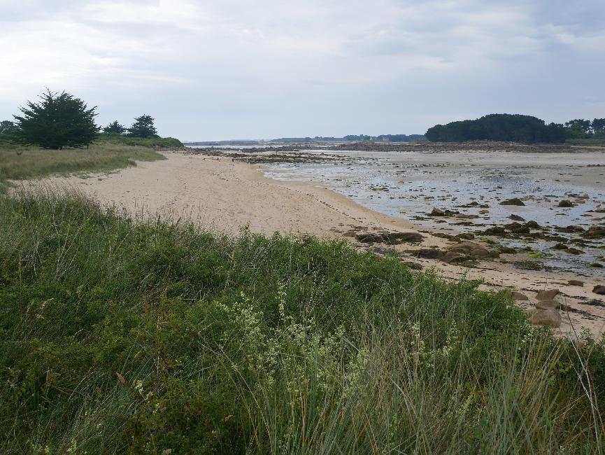 Entre Penvern et l'île Grande