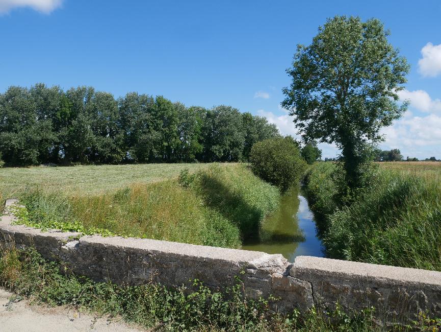 Marais du Mont Saint-Michel (vers les Dupuis)