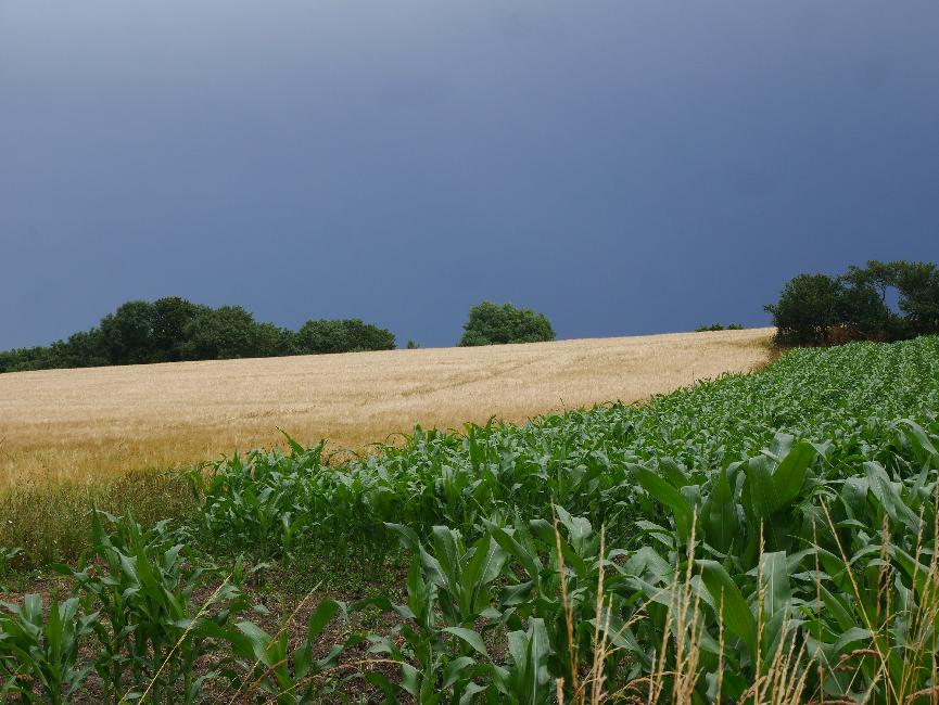 De Saint-Briac sur Mer à Saint-Jacut de la Mer